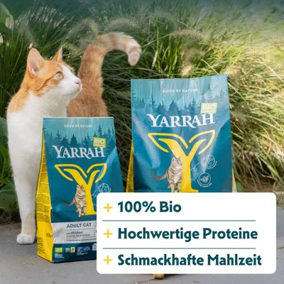 Yarrah Bio Organic Adult Cat mit Huhn. 100% Bio, hochwertige Proteine, schmackhafte Mahlzeit.