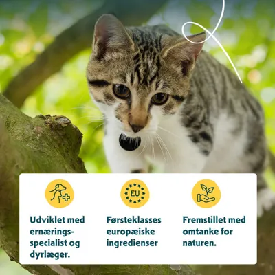 Udviklet sammen med ernæringseksperter og dyrlæger, førsteklasses europæiske ingredienser, fremstillet med hensyn til naturen. Udviklet sammen med ernæringseksperter og dyrlæger, førsteklasses europæiske ingredienser, fremstillet med hensyn til naturen.