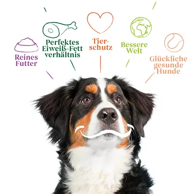 Видимый текст на немецком: Reines Futter, Perfektes Eiweiß-Fett verhältnis, Tierschutz, Bessere Welt, Glückliche gesunde Hunde. Иллюстрации корма, кости, сердца, планеты, мяча.