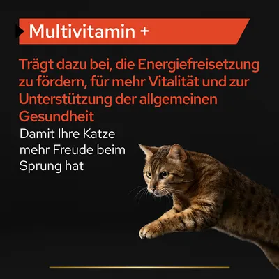 Texte en allemand : Multivitamin +. Trägt dazu bei, die Energiefreisetzung zu fördern, für mehr Vitalität und zur Unterstützung der allgemeinen Gesundheit. Damit Ihre Katze mehr Freude beim Sprung hat.