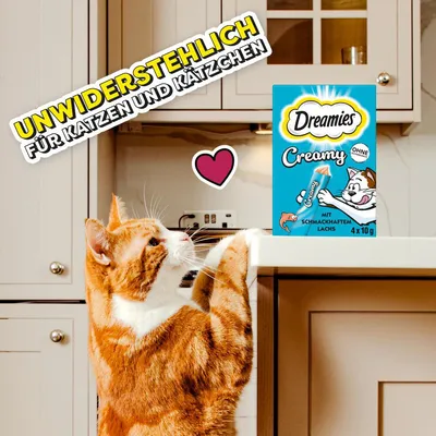 Dreamies Creamy mit schmackhaftem Lachs, unwiderstehlich für Katzen und Kätzchen. Verpackung zeigt 4x10g Portionssticks ohne Zuckerzusatz.