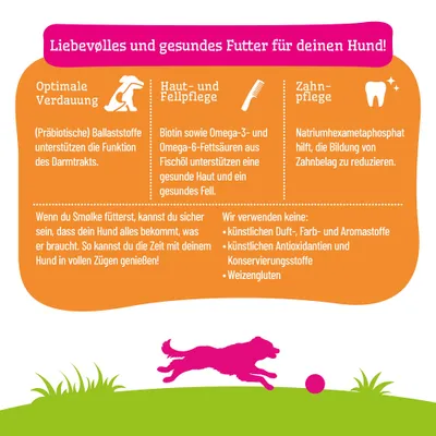 Liebevolles und gesundes Futter für deinen Hund: optimale Verdauung, Haut- und Fellpflege, Zahnpflege. Keine künstlichen Zusatzstoffe oder Weizengluten enthalten.