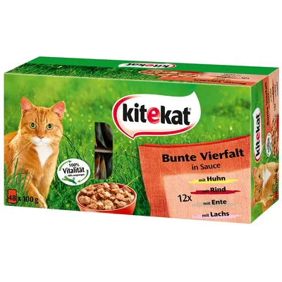 Kitekat Bunte Vierfalt in Sauce, 48 x 100 g. 12x met kip, rund, eend, zalm. Tekst: 100% Vitalität. Verpakking toont kattenvoer en afbeelding van een oranje kat.