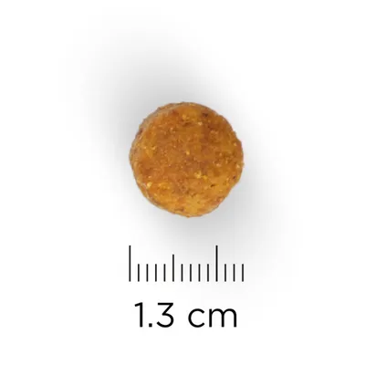 Yksittäinen koiranruokanappula, halkaisija 1,3 cm, mitta-asteikon vieressä. Näkyvissä ei ole tuotemerkkiä tai muuta tekstiä.