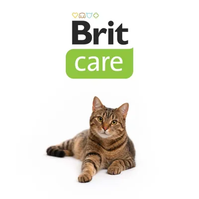 Brit Care Cat Snack Superfruits Insect, owady