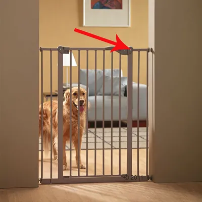 Puerta de seguridad metálica instalada en un marco de puerta, con flecha roja señalando el mecanismo de cierre. Perro grande detrás de la barrera.