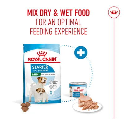 Royal Canin Starter Mini 1 to 2 Months Dry and Wet Food. Note: Mix dry & wet food for an optimal feeding experience.