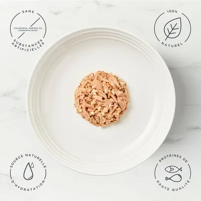 Encore 16 x 70 g boîtes pour chat