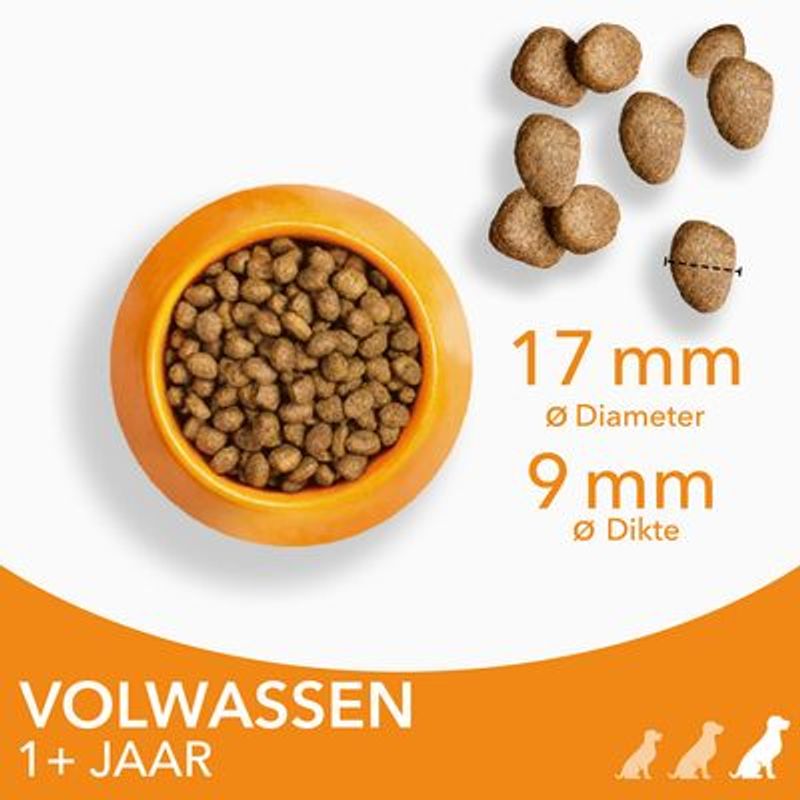 IAMS Advanced Nutrition Adult Large Dog met Kip Hondenvoer