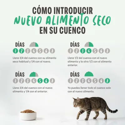 Instrucciones para la introducción gradual de un nuevo pienso seco en el comedero durante 7 días, con indicaciones de cantidad para la proporción de mezcla.