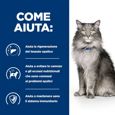 COME AIUTA: Aiuta la rigenerazione del tessuto epatico. Aiuta a evitare le carenze e gli eccessi nutrizionali che sono connessi ai problemi epatici. Aiuta a mantenere sano il sistema immunitario.
