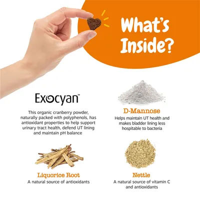 Text v angličtine: What's Inside? Exocyan, D-Mannose, Liquorice Root, Nettle. Popisy zložiek a ich účinkov sú uvedené v angličtine priamo na obrázku.