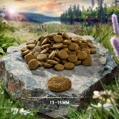 Nourriture pour chien en forme ronde, taille 13-15 mm, présentée sur une pierre. Arrière-plan avec nature, lac et forêt.