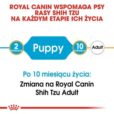 Royal Canin wspomaga psy rasy Shih Tzu na każdym etapie życia. Po 10 miesiącu życia: zmiana na Royal Canin Shih Tzu Adult. Puppy od 2 do 10 miesięcy.