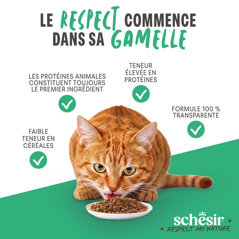 Schesir Sterilized au poisson