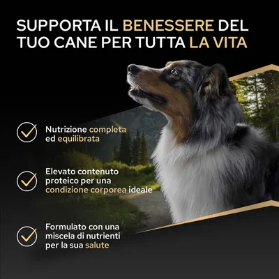 Favorisce il benessere del tuo cane: alimentazione completa ed equilibrata, alto contenuto proteico per una condizione corporea ideale, miscela di nutrienti per la salute.
