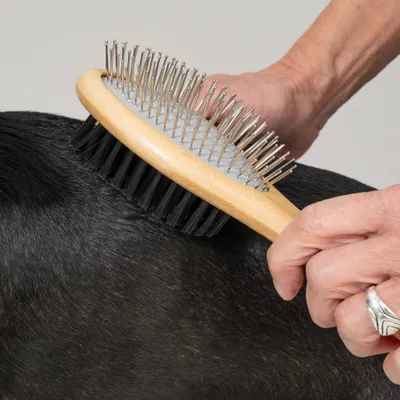 kooa Brosse de soin du pelage 2-en-1 - L 22 x l 6,5 x H 7 cm kooa Brosse de soin du pelage 2-en-1 - L 22 x l 6,5 x H 7 cm
