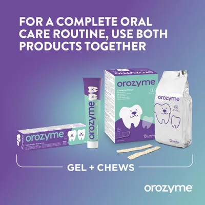 Orozyme Gel und Chews für vollständige Mundpflege. Empfehlung: Beide Produkte zusammen verwenden. Verpackungen und Kausnacks sichtbar. Orozyme Gel und Chews für vollständige Mundpflege. Empfehlung: Beide Produkte zusammen verwenden. Verpackungen und Kausnacks sichtbar.