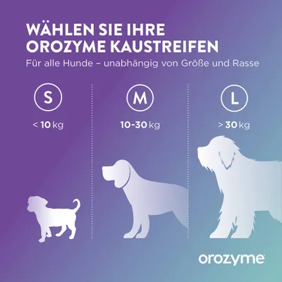 Wählen Sie Ihre Orozyme Kaustreifen: S unter 10 kg, M 10-30 kg, L über 30 kg. Für alle Hunde – unabhängig von Größe und Rasse. Wählen Sie Ihre Orozyme Kaustreifen: S unter 10 kg, M 10-30 kg, L über 30 kg. Für alle Hunde – unabhängig von Größe und Rasse.