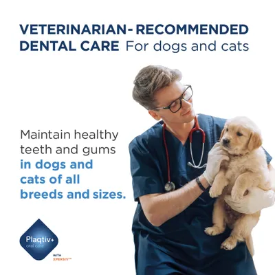 Veterinär-empfohlene Zahnpflege für Hunde und Katzen. Gesunde Zähne und Zahnfleisch bei Hunden und Katzen aller Rassen und Größen. Plaqtiv+ oral care mit XPERSIV.