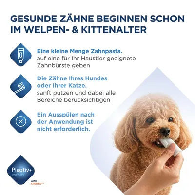 Anleitung zur Zahnpflege: Kleine Menge Zahnpasta auf Bürste geben, Zähne von Hund oder Katze sanft putzen, Ausspülen nach Anwendung nicht erforderlich. Plaqtiv+ oral care. Anleitung zur Zahnpflege: Kleine Menge Zahnpasta auf Bürste geben, Zähne von Hund oder Katze sanft putzen, Ausspülen nach Anwendung nicht erforderlich. Plaqtiv+ oral care.