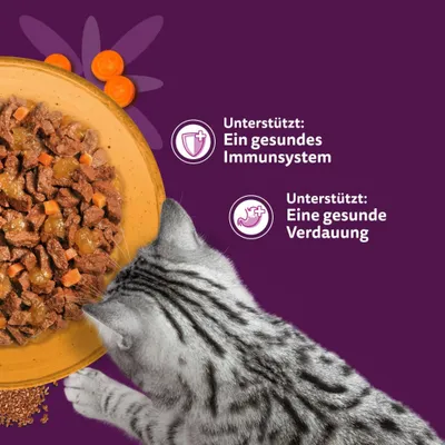 Whiskas 1+ Superfoods Gemischte Auswahl in Gelee 6 x 50 g - Ente & Hühnerleber