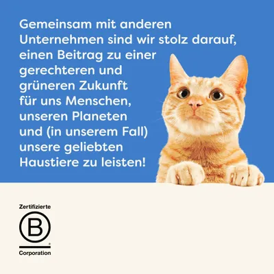 Gemeinsam mit anderen Unternehmen sind wir stolz darauf, einen Beitrag zu einer gerechteren und grüneren Zukunft für Menschen, Planeten und Haustiere zu leisten. Zertifizierte B Corporation. Gemeinsam mit anderen Unternehmen sind wir stolz darauf, einen Beitrag zu einer gerechteren und grüneren Zukunft für Menschen, Planeten und Haustiere zu leisten. Zertifizierte B Corporation.