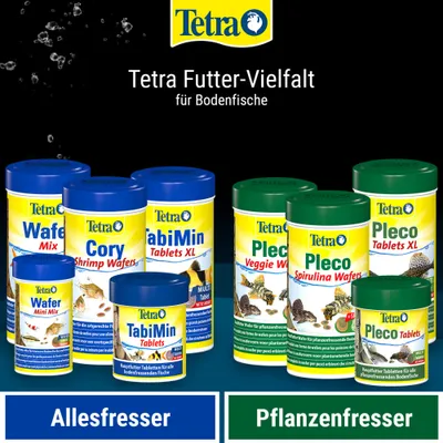 Tetra Futter-Vielfalt für Bodenfische: Verschiedene Dosen Tetra Wafer, Cory Shrimp Wafers, TabiMin Tablets, Pleco Veggie Wafers, Spirulina Wafers und Pleco Tablets. Kategorien: Allesfresser, Pflanzenfresser. Tetra Futter-Vielfalt für Bodenfische: Verschiedene Dosen Tetra Wafer, Cory Shrimp Wafers, TabiMin Tablets, Pleco Veggie Wafers, Spirulina Wafers und Pleco Tablets. Kategorien: Allesfresser, Pflanzenfresser.