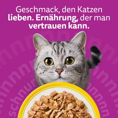 Whiskas 1+ Adult Frischebeutel 40 x 85 g - Geflügel in Gelee (4 Sorten) Whiskas 1+ Adult Frischebeutel 40 x 85 g - Geflügel in Gelee (4 Sorten)