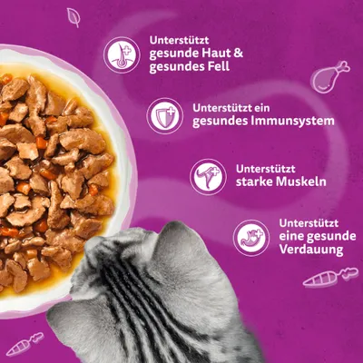 Unterstützt gesunde Haut und Fell, ein gesundes Immunsystem, starke Muskeln und eine gesunde Verdauung. Nassfutter in Schale mit Katze. Unterstützt gesunde Haut und Fell, ein gesundes Immunsystem, starke Muskeln und eine gesunde Verdauung. Nassfutter in Schale mit Katze.