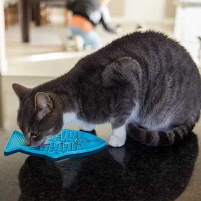 Katze leckt an einer blauen Fisch-förmigen Schleckmatte auf einem Tisch.
