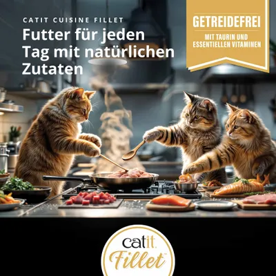 Catit Cuisine Fillet. Aliment quotidien avec des ingrédients naturels. Sans céréales, avec de la taurine et des vitamines essentielles. Catit Cuisine Fillet. Aliment quotidien avec des ingrédients naturels. Sans céréales, avec de la taurine et des vitamines essentielles.