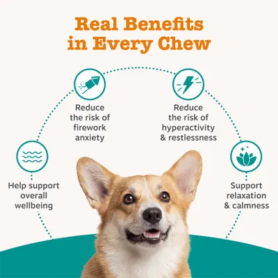 Real Benefits in Every Chew: Reduce the risk of firework anxiety, reduce the risk of hyperactivity & restlessness, support relaxation & calmness, help support overall wellbeing. Real Benefits in Every Chew: Reduce the risk of firework anxiety, reduce the risk of hyperactivity & restlessness, support relaxation & calmness, help support overall wellbeing.
