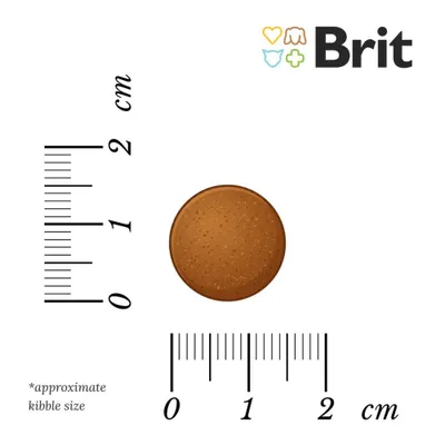 Brit Care Dog Grain-free Adult Lachs & Kartoffel