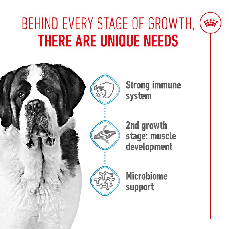 Royal Canin Giant Junior | zooplus