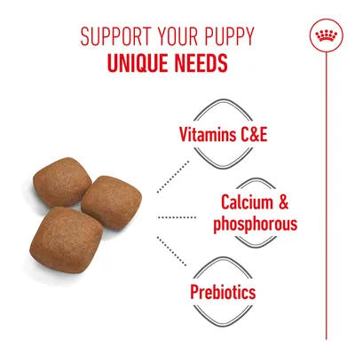 Dry food pieces with highlighted texts: Vitamins C&E, Calcium & phosphorus, Prebiotics. Heading: Support your puppy's unique needs. Dry food pieces with highlighted texts: Vitamins C&E, Calcium & phosphorus, Prebiotics. Heading: Support your puppy's unique needs.