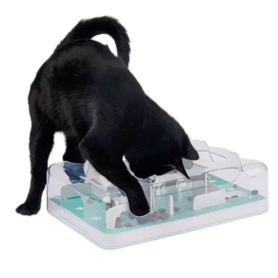 Black cat playing with interactive food toy made of plastic containing dry food.