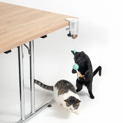 Distributore di giocattoli con contenitore per cibo, fissato al tavolo. Gatto nero gioca con palla sospesa, gatto bianco accanto.