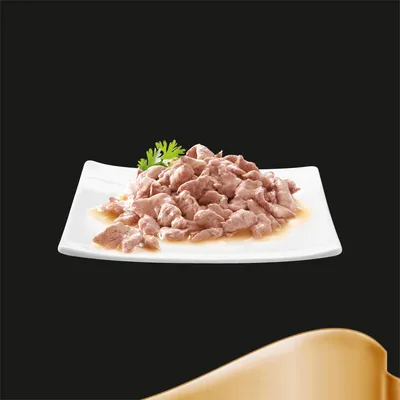 Chunks of wet pet food in gravy on a white square plate, garnished with a sprig of parsley, shown against a black background.
