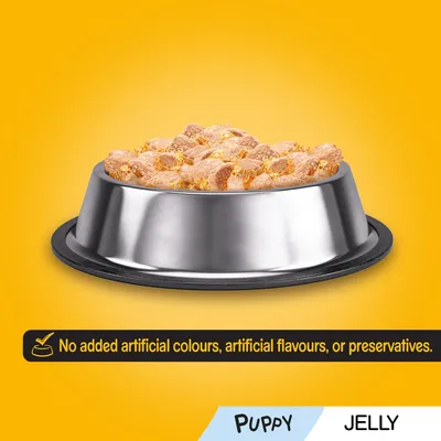 Tekst: No added artificial colours, artificial flavours, or preservatives. Puppy JELLY. Skål med vådfoder i gelé til hvalpe, serveret i metalskål.