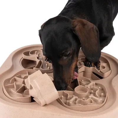 Dog interacting with a beige plastic intelligence toy featuring multiple compartments and mazes for snacks.