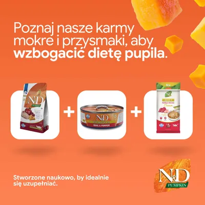 N&D Pumpkin karma sucha, mokra i przekąska obok siebie. Tekst: „Poznaj nasze karmy mokre i przekąski, aby wzbogacić dietę pupila.”