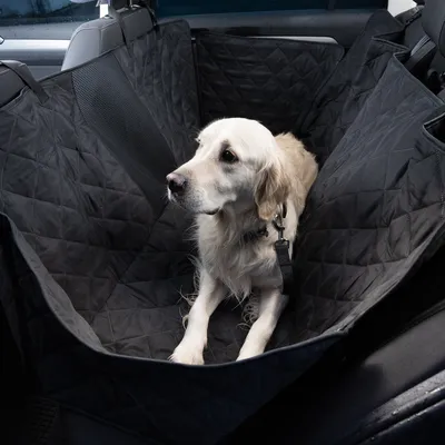 Hund sitter på ett svart, vadderat bilskydd med säkerhetsbälte i baksätet på en bil.