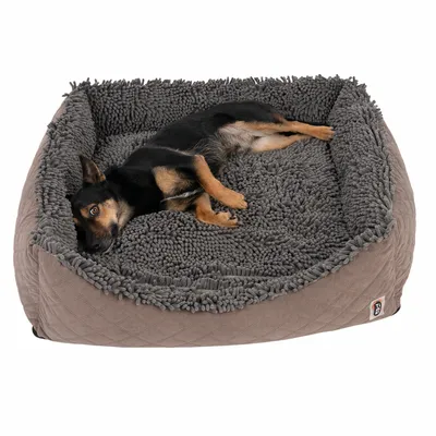Hund liegt in einem grauen Hundebett mit weicher, strukturierter Oberfläche und braunen Seiten. Logo sichtbar auf der Seite des Bettes.