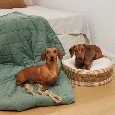 Modern Living Одеяло за кучета Victoria