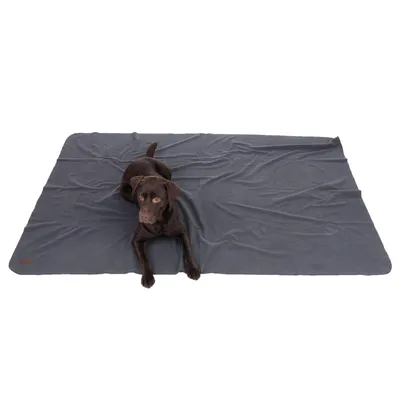 Dunkelgraue Hundedecke mit braunem Labrador darauf liegend. Decke aus glattem Stoff, rechteckige Form.