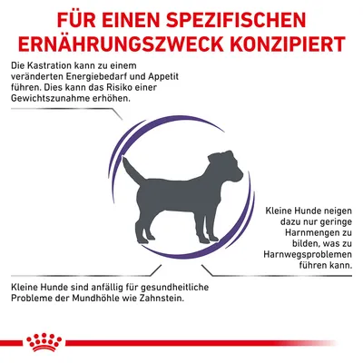 Für einen spezifischen Ernährungszweck konzipiert: Kastration erhöht Risiko für Gewichtszunahme. Kleine Hunde anfällig für Zahnstein und Harnwegsprobleme durch geringe Harnmengen.