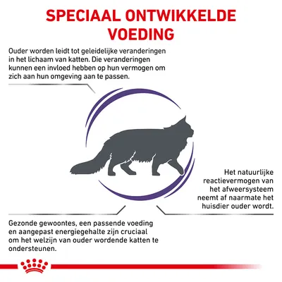 Speciaal ontwikkelde voeding. Gezonde gewoontes, passende voeding en aangepast energiegehalte zijn cruciaal voor het welzijn van ouder wordende katten. Natuurlijke afweer neemt af.