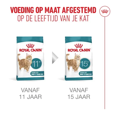 Royal Canin kattenvoer voor senioren: vanaf 11 jaar en vanaf 15 jaar. Leeftijdsgeschikte voeding voor katten, verpakkingen met duidelijke leeftijdsaanduiding. Royal Canin kattenvoer voor senioren: vanaf 11 jaar en vanaf 15 jaar. Leeftijdsgeschikte voeding voor katten, verpakkingen met duidelijke leeftijdsaanduiding.