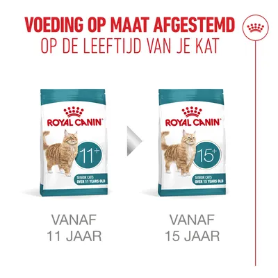 Royal Canin Senior Cats vanaf 11 jaar en vanaf 15 jaar. Leeftijdsgerichte voeding voor katten, verpakkingen met opschrift '11+' en '15+'.